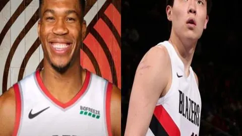 kaiyun·开云（中国）